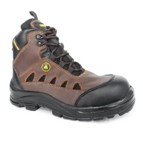 Bota elite evolution café