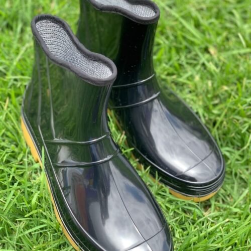 Botin pantano agua