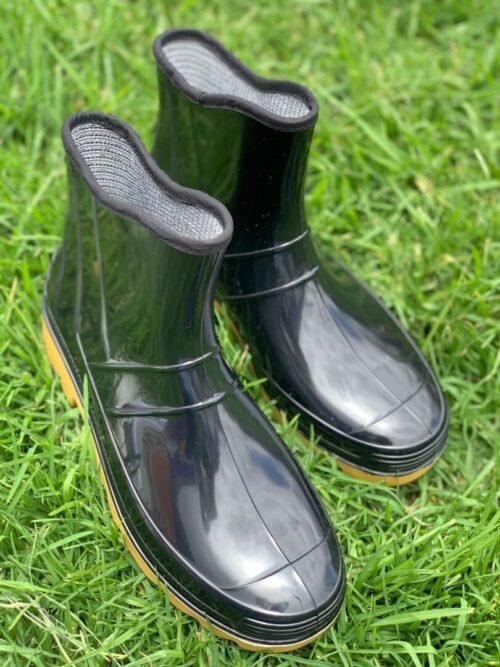 Botin pantano agua