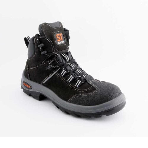 Bota evolution