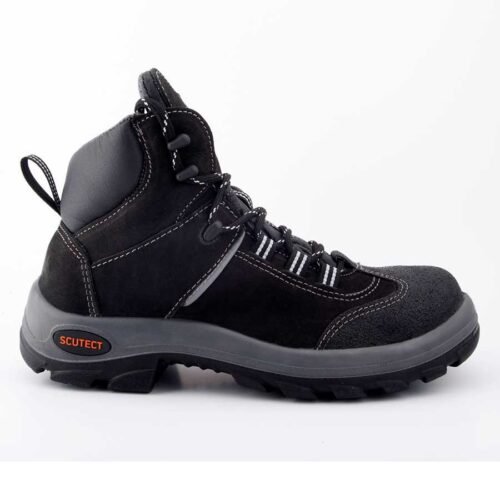 Bota evolution - Image 2